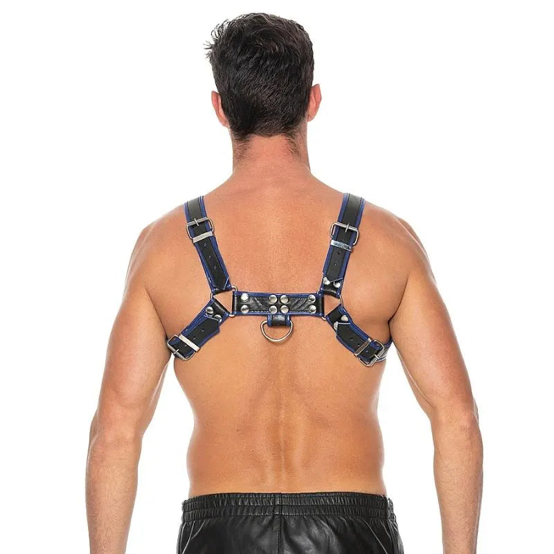 Arnes de pecho bulldog - azul- de Ouch! - kynk - Bondage - Sexshop Dominame.cl