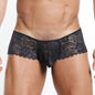 Bikini Mallas Negro - Boxer de encaje - lenceria transparente hombre - ropa interior masculina transparente - calzoncillo
