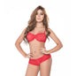 Conjunto Red Hipster - Lenceria encaje mujer - ropa interior para mujer sexy